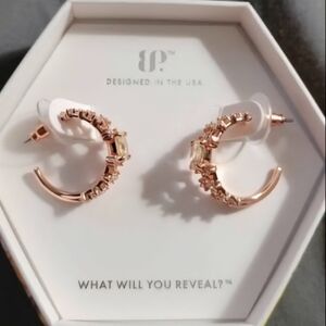 BP November 25 Revealed Hoops